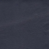 Campania Navy BLK